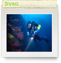 diving